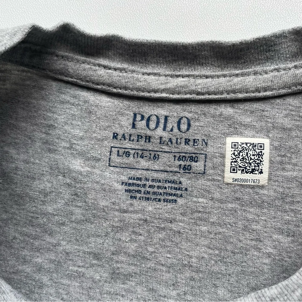 Polo by Ralph Lauren Kids Gray Tee with Multicolor Logo Large 14-16